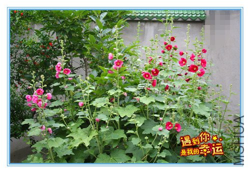 ��Ƭ 101_������1.jpg