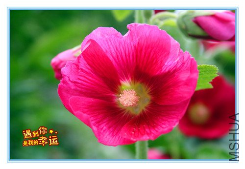 ��Ƭ 104_����3.jpg