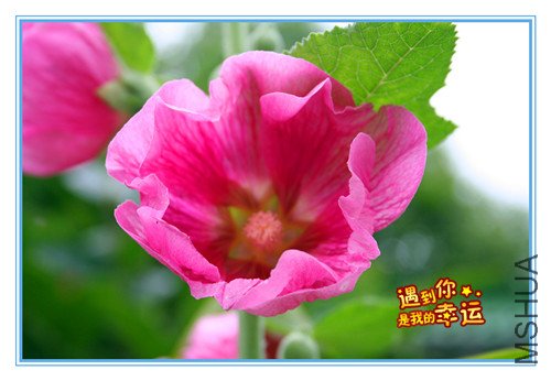 ��Ƭ 105_����4.jpg