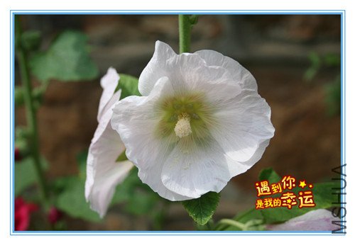 ��Ƭ 157_����_����.jpg