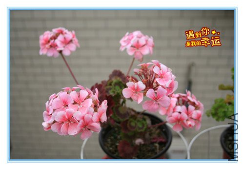 ��Ƭ 159_������1.jpg