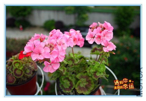 ��Ƭ 197_������2.jpg