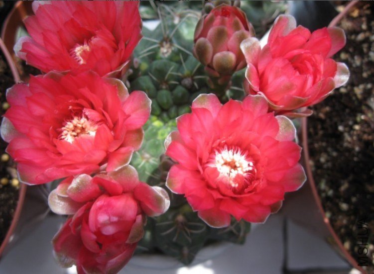 QQ��ͼ20120609203310.jpg