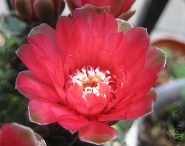 QQ��ͼ20120609203332.jpg