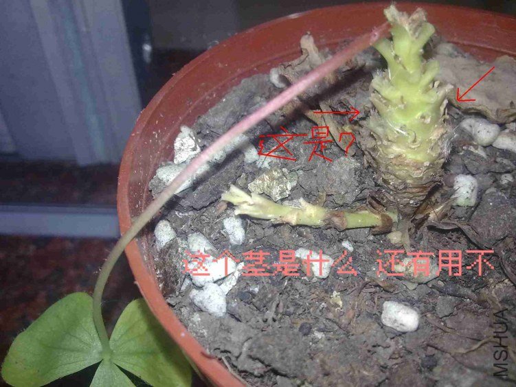 20120609326.jpg