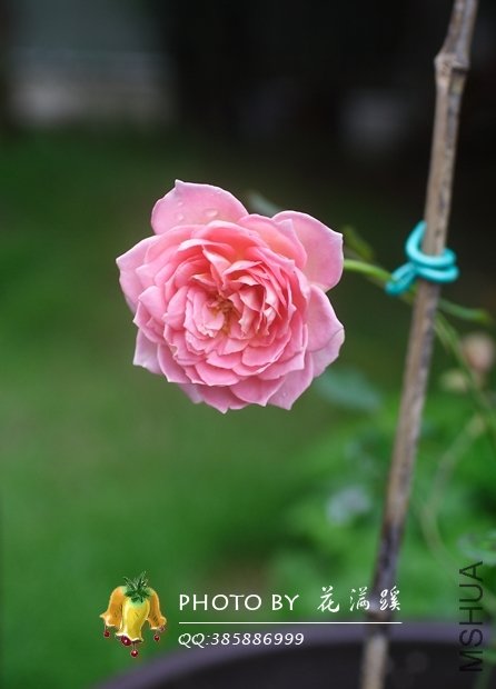 �������20120610-3.JPG