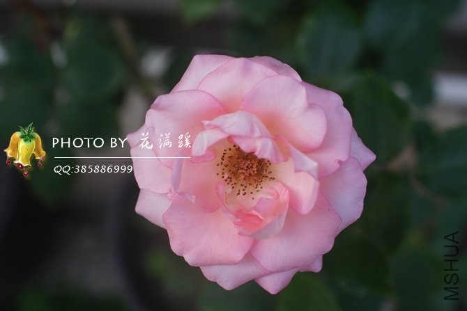 ���л�-4.JPG