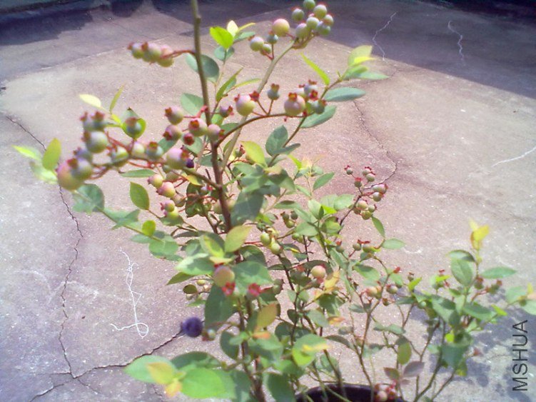 ��Ƭ 607_����.jpg