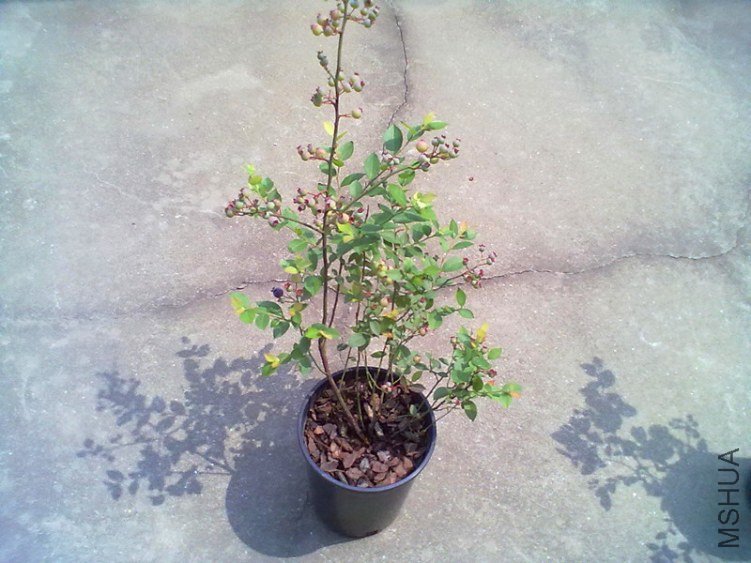 ��Ƭ 606_����.jpg