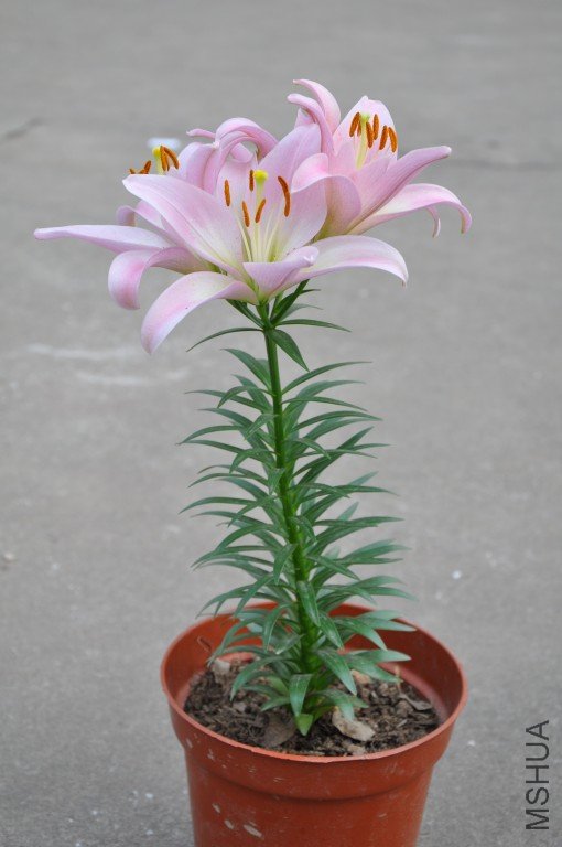 2011.10.30.jpg