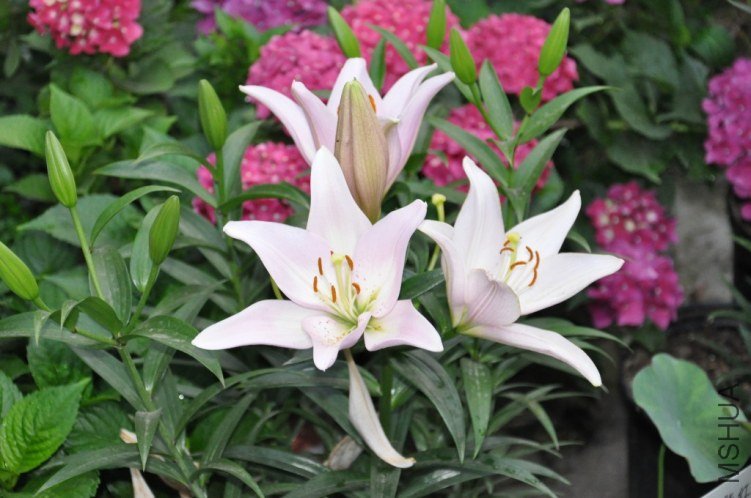 2012.6.6.jpg