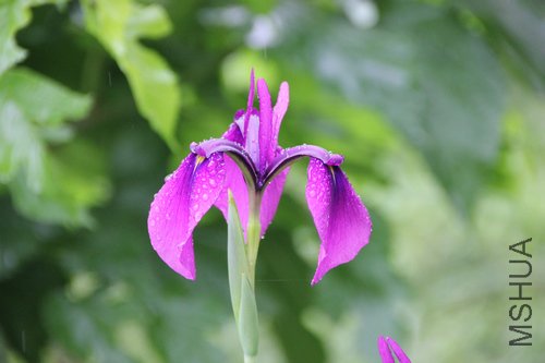 IMG_3628.jpg
