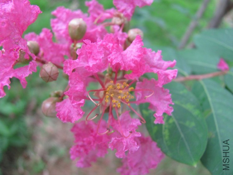 IMG_0070a.jpg