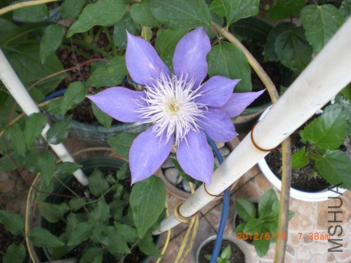 CIMG2349_����.jpg