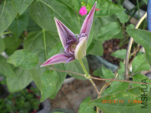 CIMG2350_����.jpg