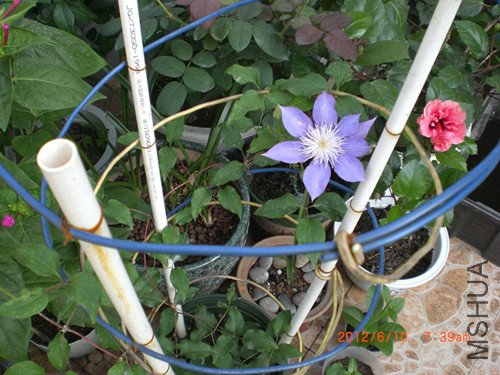 CIMG2351_����.jpg