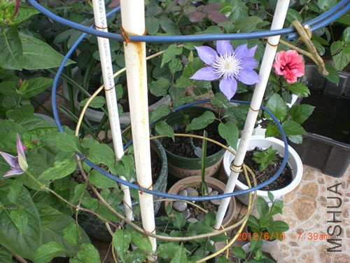 CIMG2352_����.jpg
