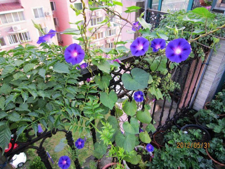 IMG_5419.jpg