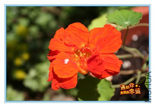 ��Ƭ 028_����.jpg