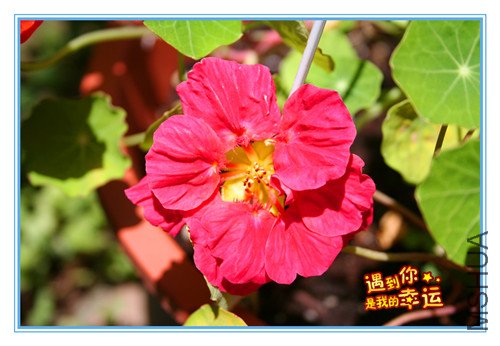 ��Ƭ 030_����.jpg