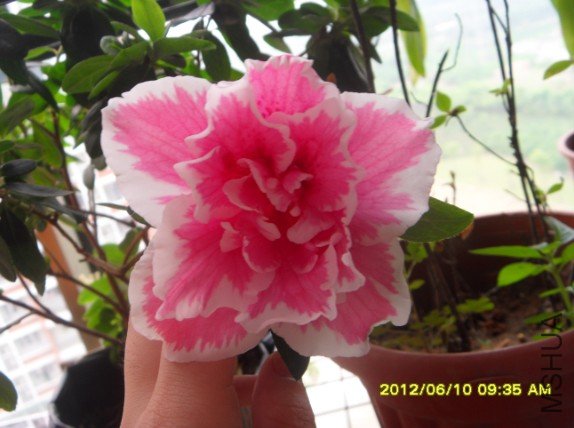 QQ��ͼ20120610165829.jpg