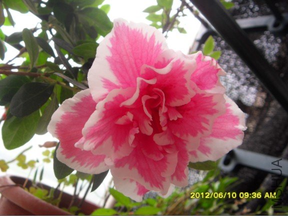QQ��ͼ20120610165840.jpg