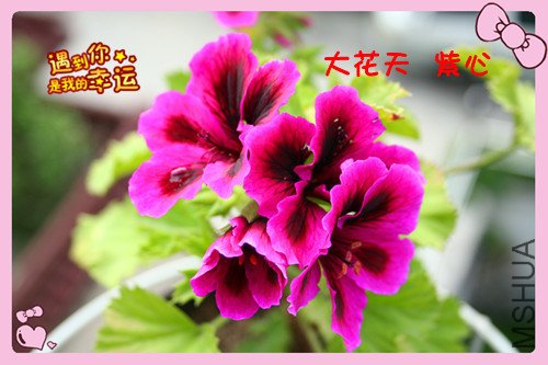 ��Ƭ 073_����������.jpg