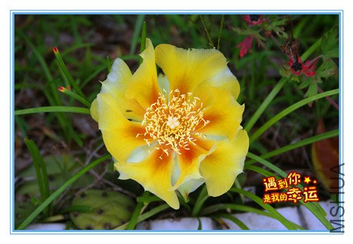 ��Ƭ 089_����2.jpg