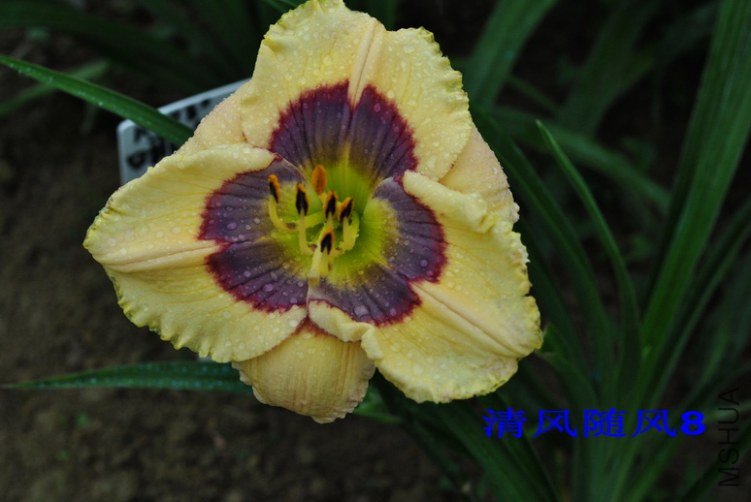 98���ַ�ʽ(Which Way)8.jpg