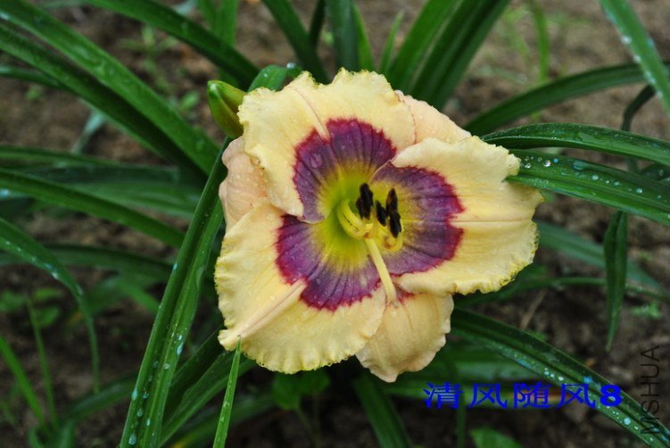 98���ַ�ʽ(Which Way)3.jpg