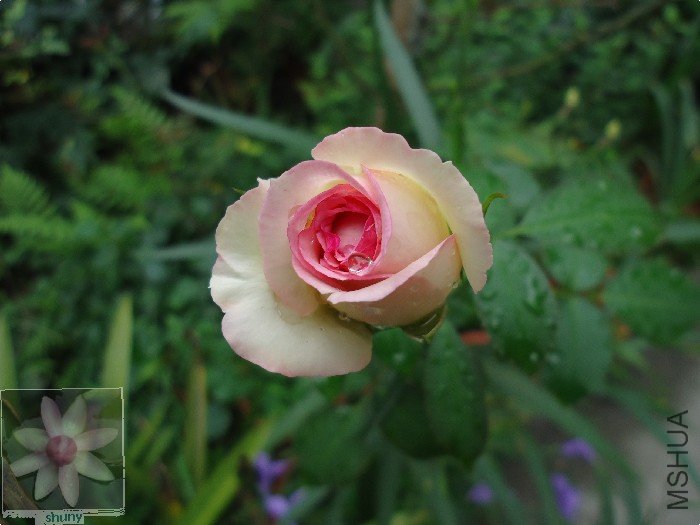 DSC00645.jpg