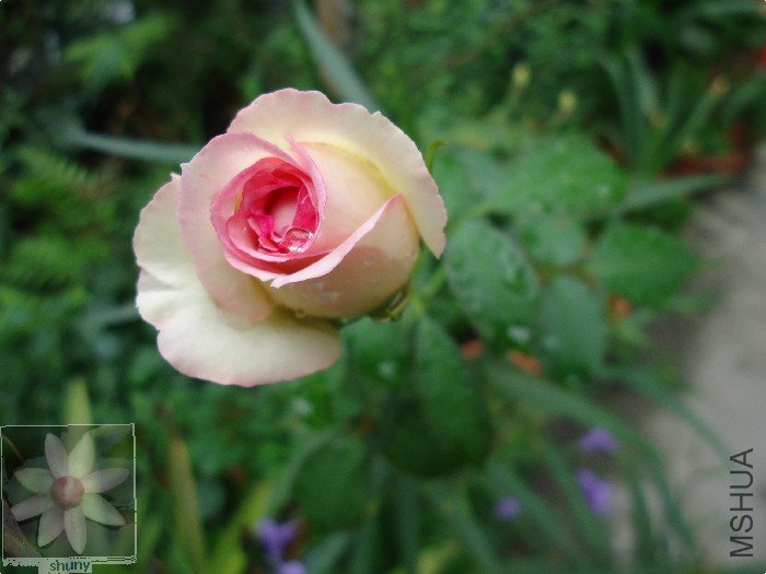 DSC00647.jpg