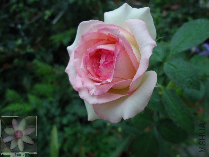 DSC00657.jpg