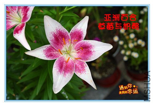 ��Ƭ 003_������2_����.jpg