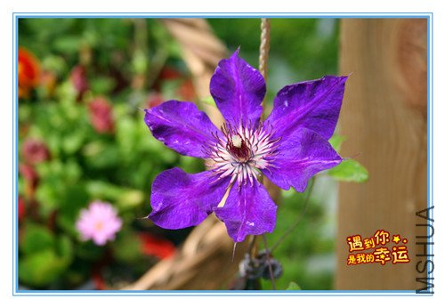 ��Ƭ 022_������.jpg