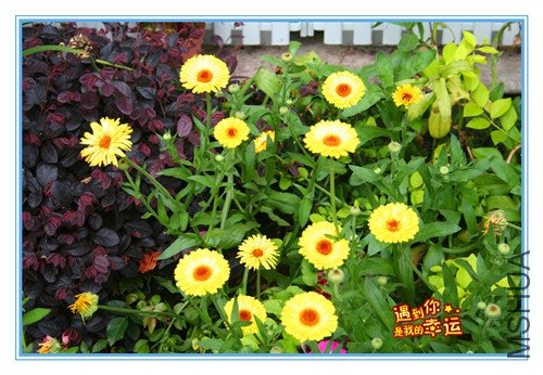 ��Ƭ 083_����յ.jpg