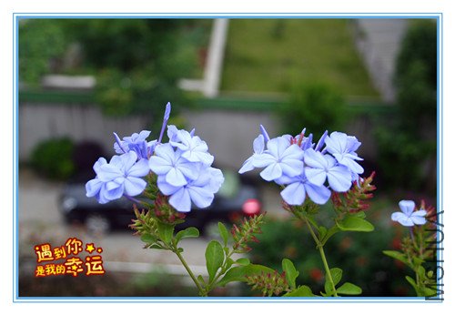 ��Ƭ 191_��ѩ5.jpg