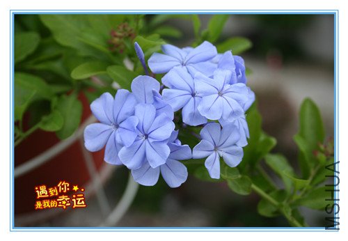 ��Ƭ 195_����.jpg