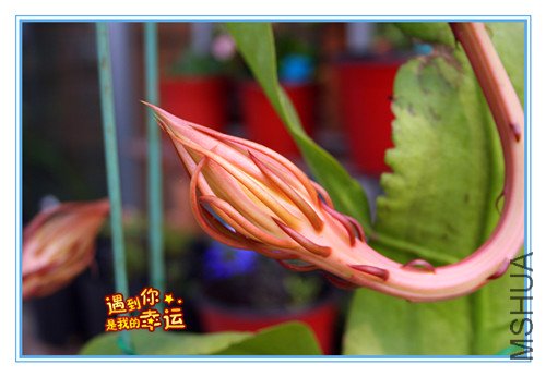 ��Ƭ 043_�����2.jpg