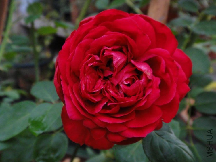 DSC03332.JPG
