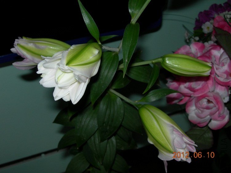 DSCN0895.JPG