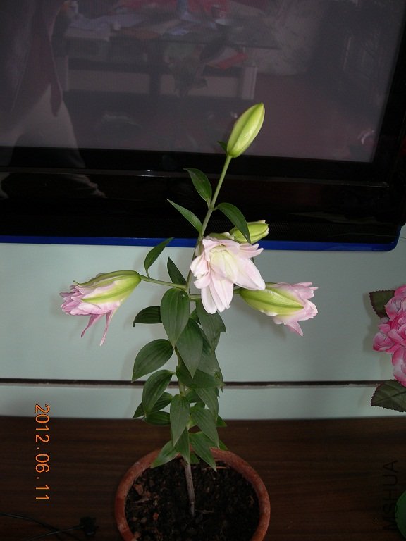 DSCN0897.JPG