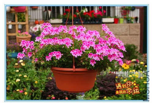 ��Ƭ 033_������1.jpg