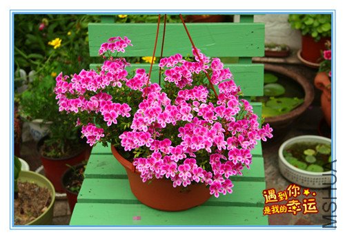 ��Ƭ 036_������3.jpg