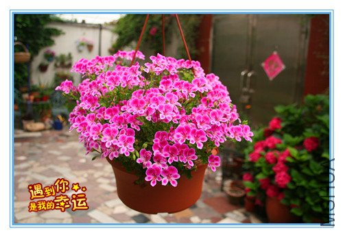 ��Ƭ 032_������2.jpg