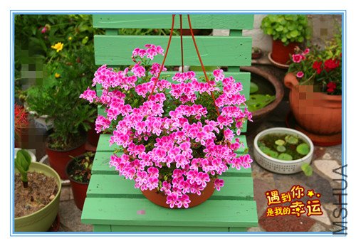 ��Ƭ 037_������4.jpg