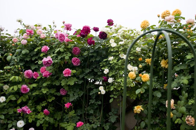 DSC_0047b.jpg