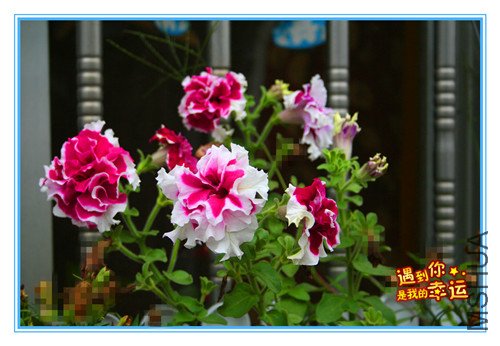 ��Ƭ 057_������1.jpg