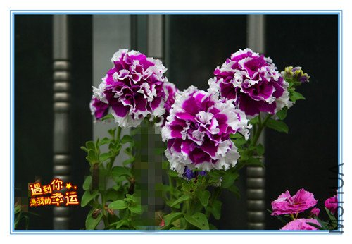 ��Ƭ 061_������2.jpg