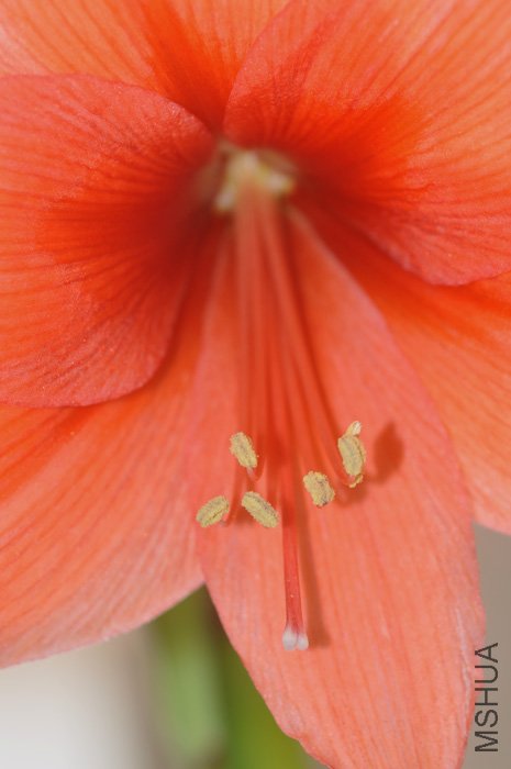 DSC_0604.JPG
